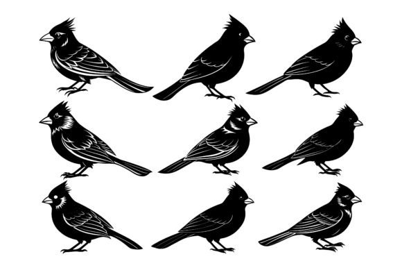 Cardinal Bird Vector Illustration Bundle Graphics for Print Materials Mockups