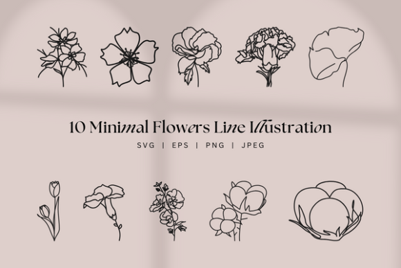 Clean Minimal Botanical Graphics