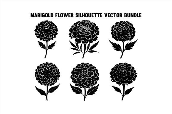 Marigold Flower Silhouette Bundle Graphics for Print Materials Mockups