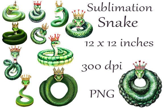 Sublimation Watercolor Snakes PNG3